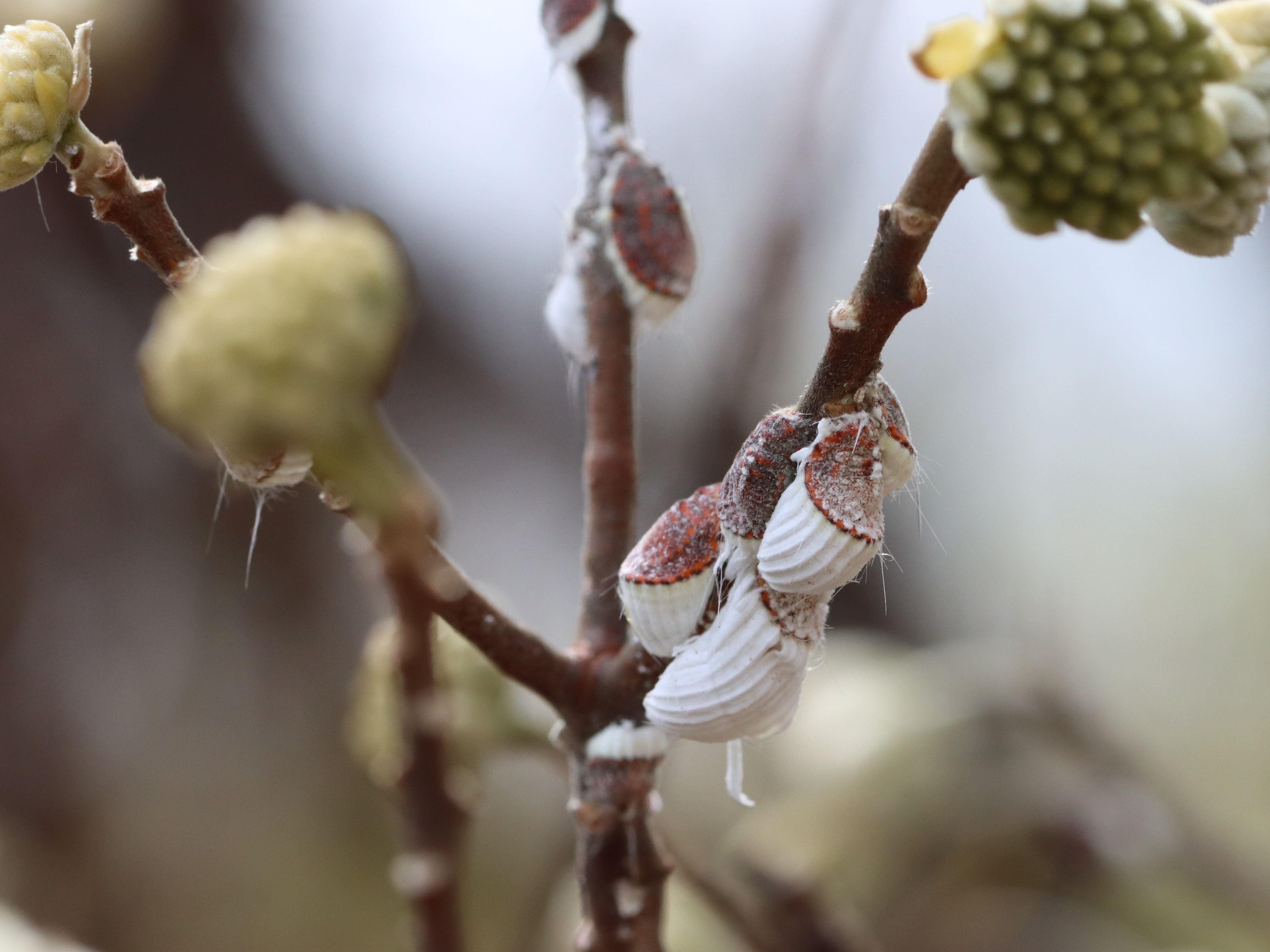 photo_1